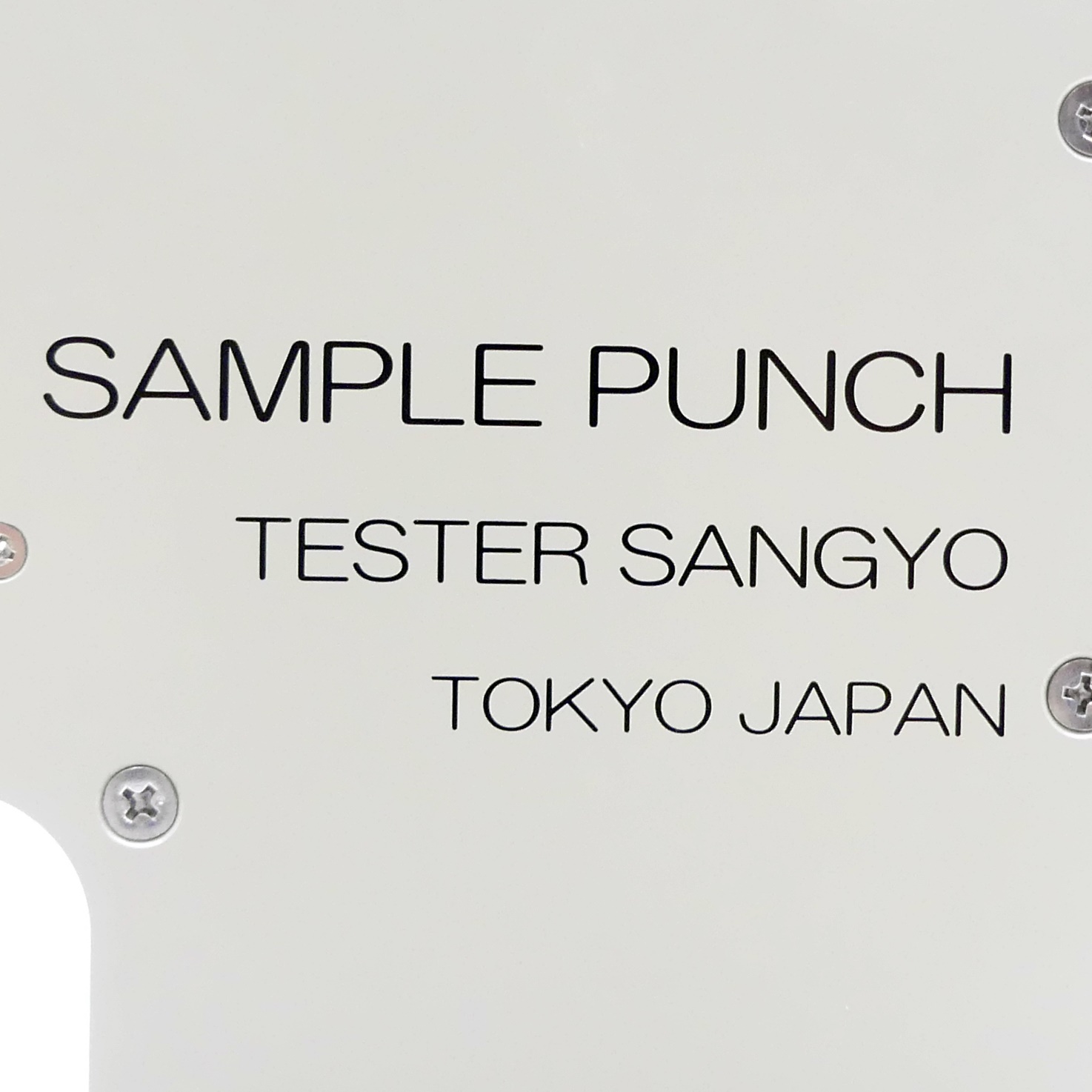 Sample Punch 