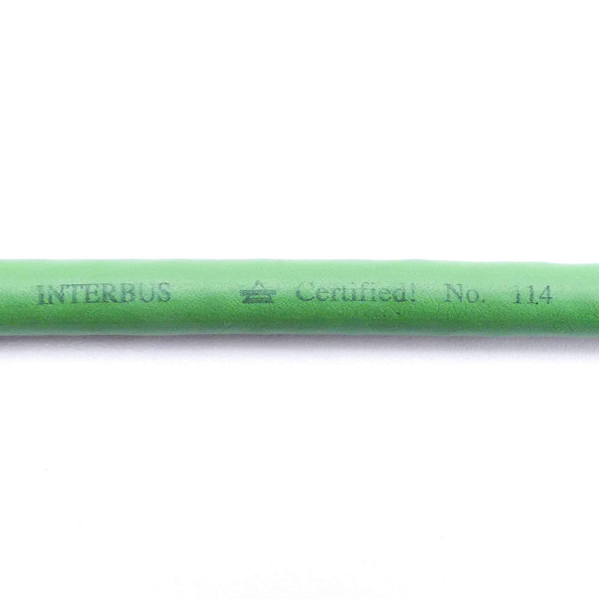 Cable  Interbus 114 IBS INBC 