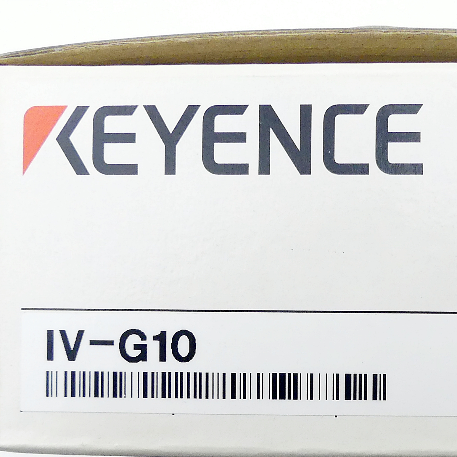 Auswertegerät IV-G10 