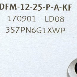 Führungszylinder DFM-12-25-P-A-KF 