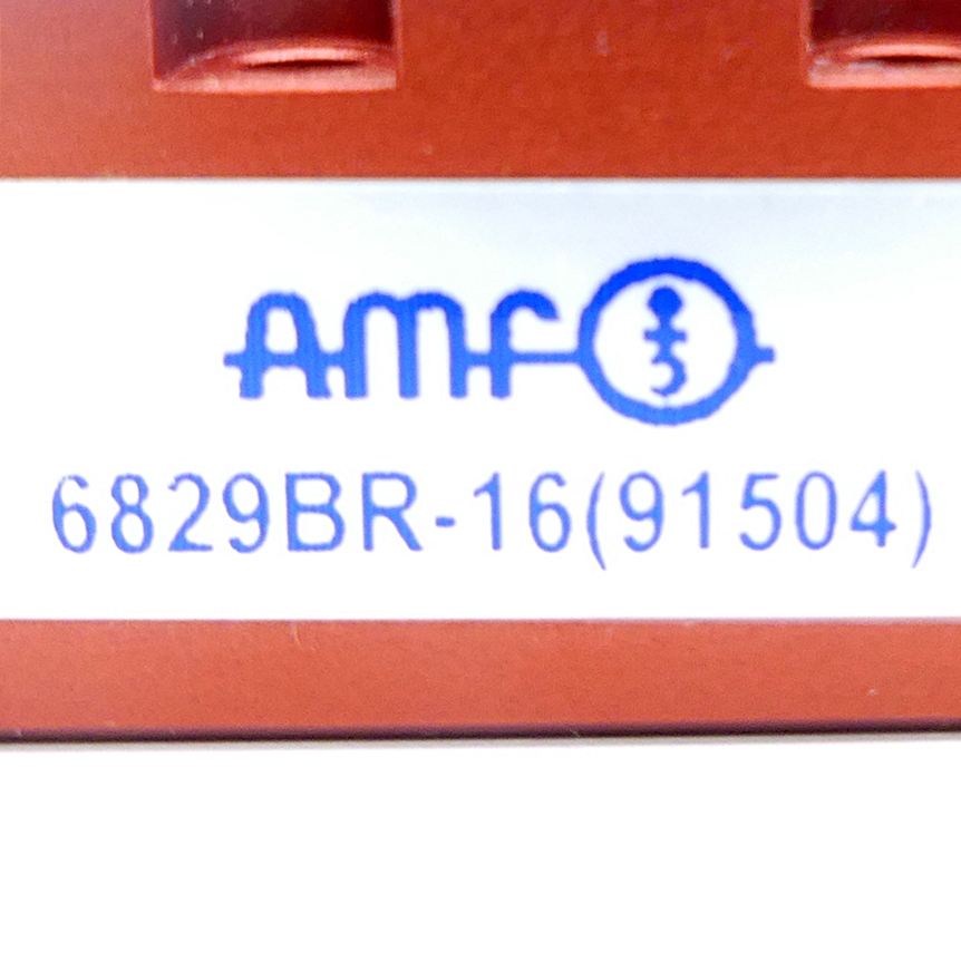 Schwenkspanner 6829BR-16