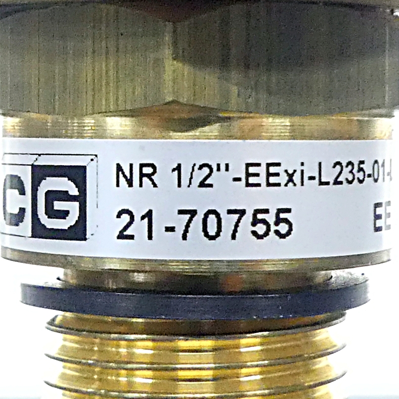 Level controller EExi IIC T4 