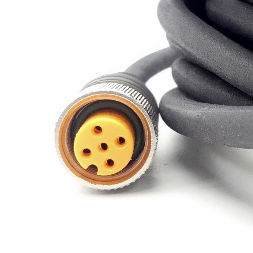 Connecting Cable M12