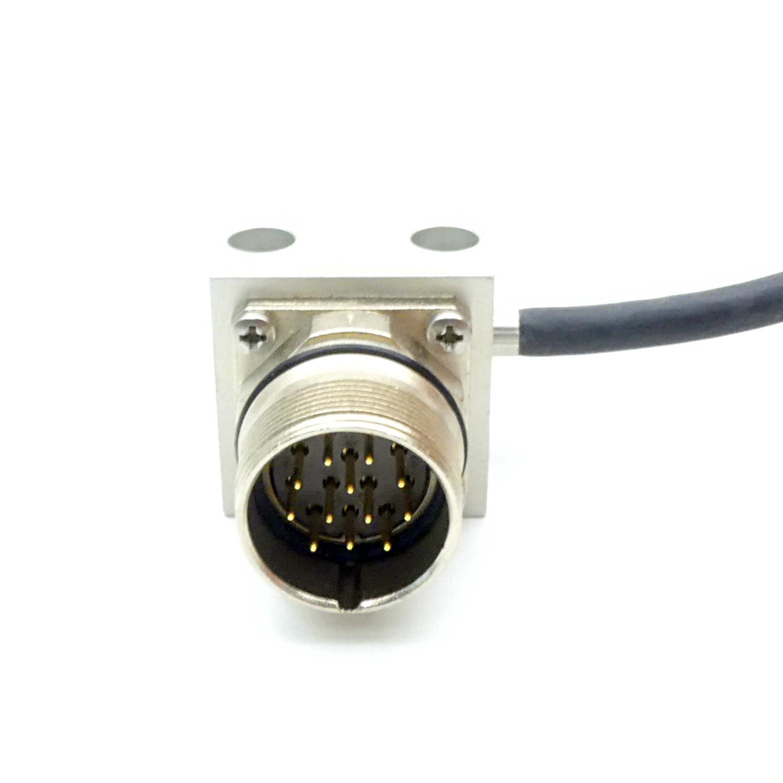 Connector cable 310135-01