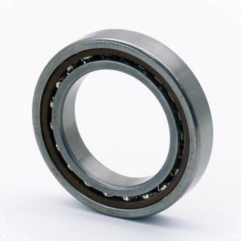 Spindle bearing 