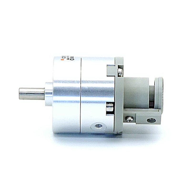 Pneumatic rotary actuator 