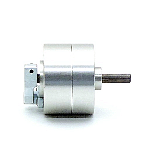 Mini rotary vane acuator 