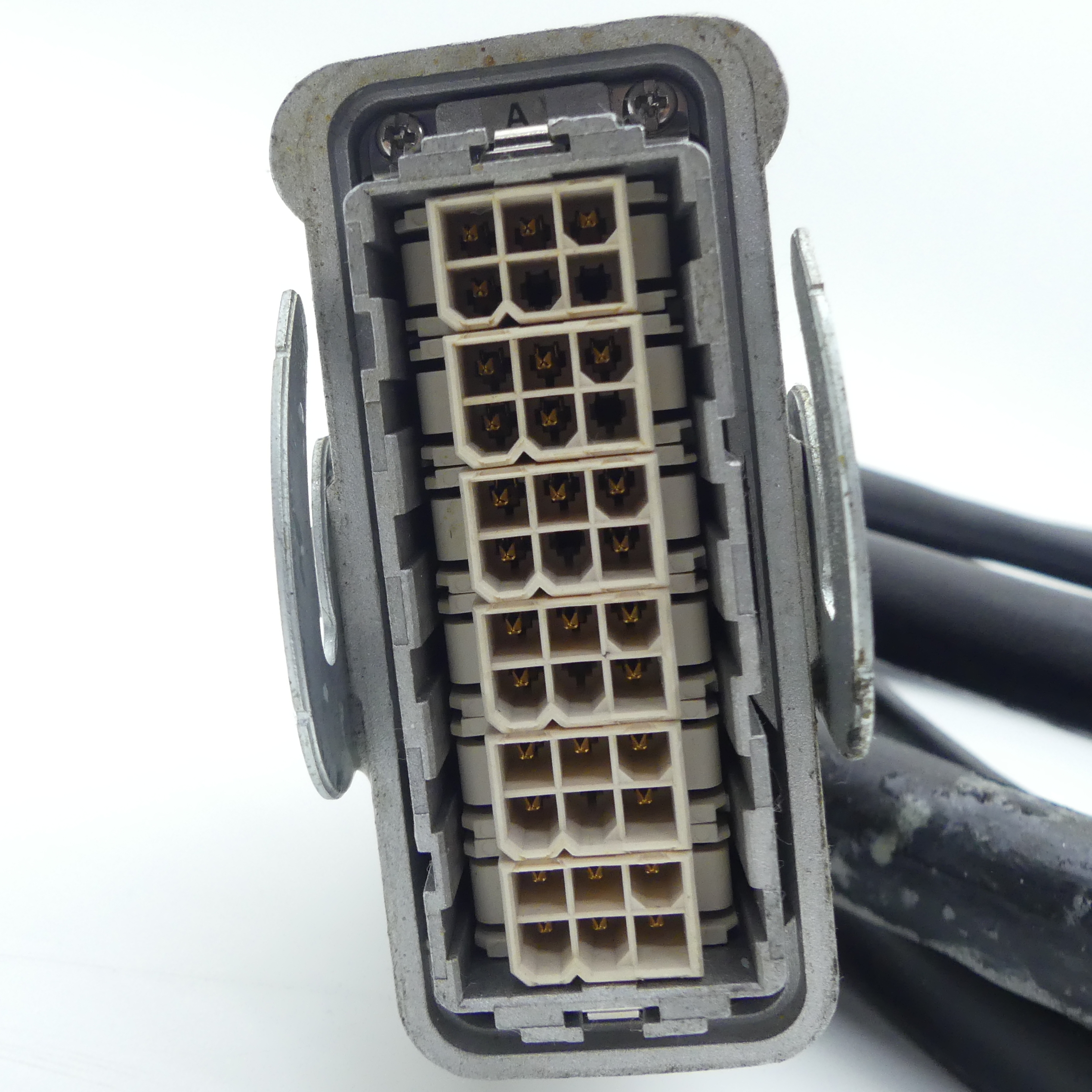 PRIMÄRES STROMKABEL MIT MOLEX-ANSCHLÜSSEN