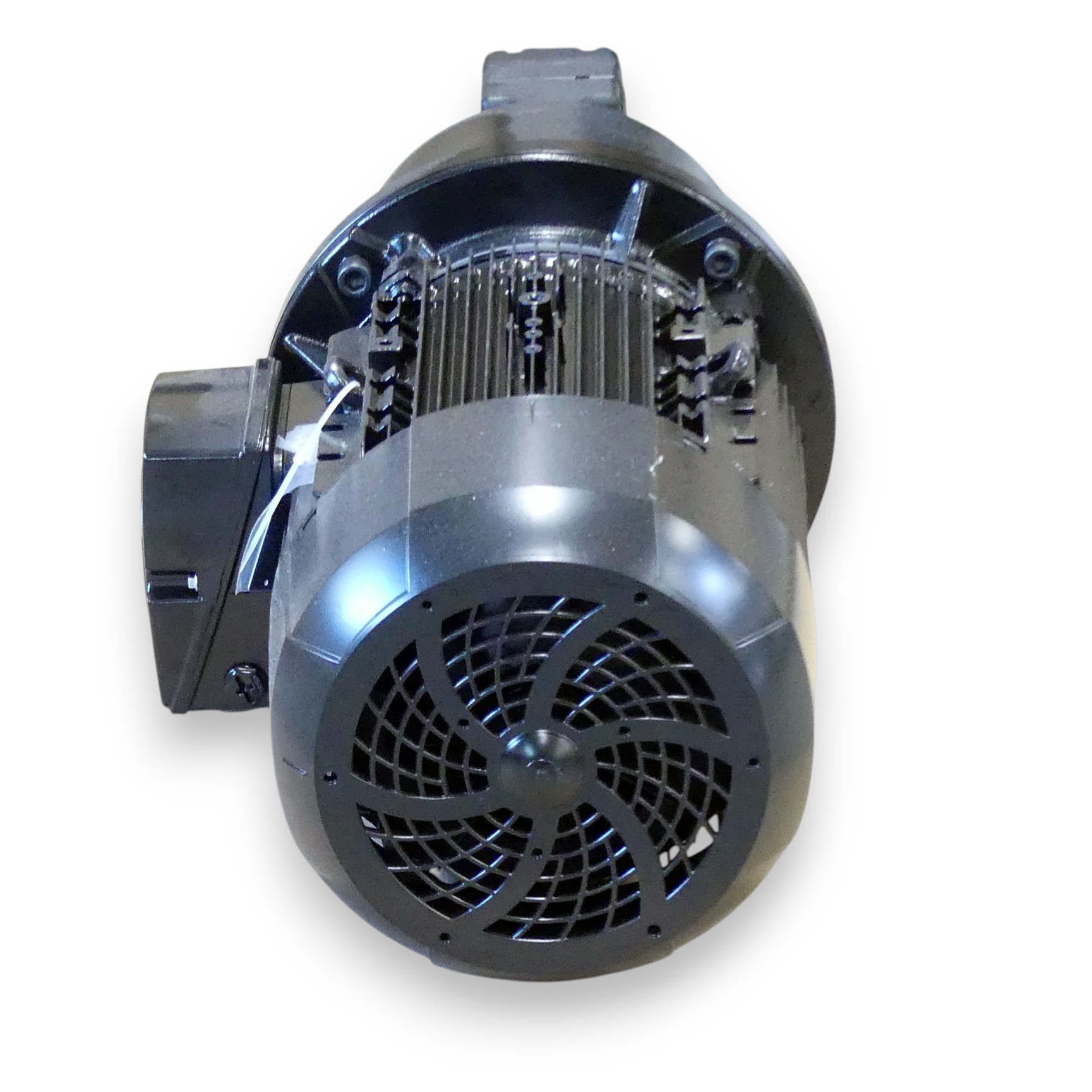 High-pressure coolant screw pump TFS238/80+1875 
