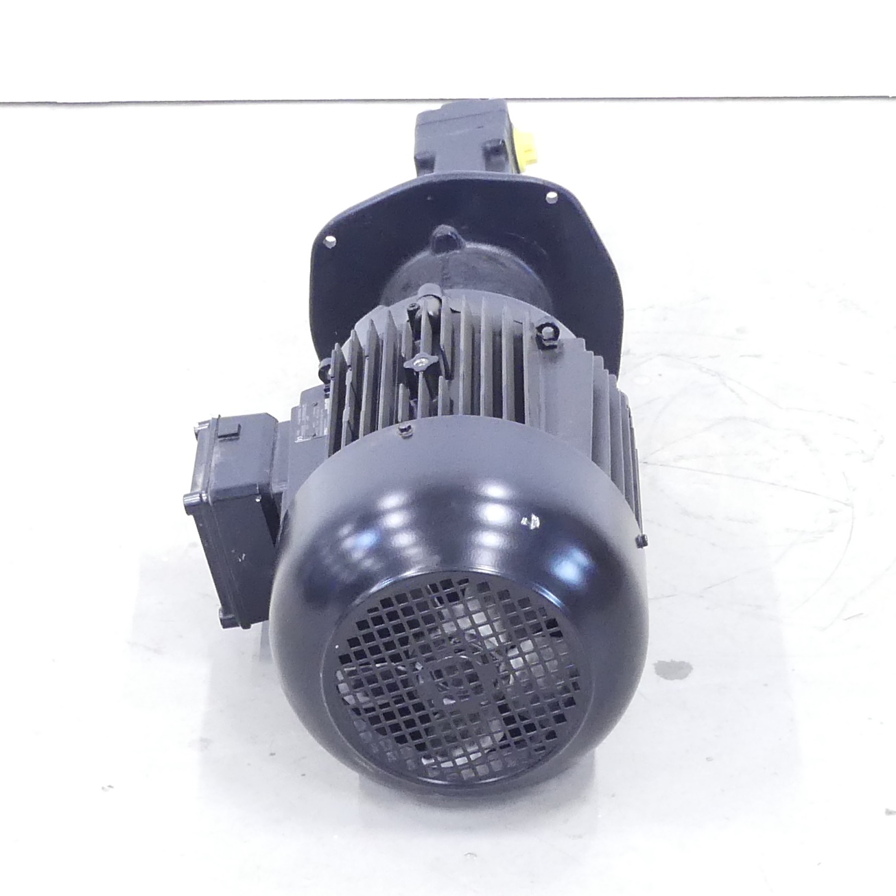 Schraubenspindelpumpe BFS238/80+1110