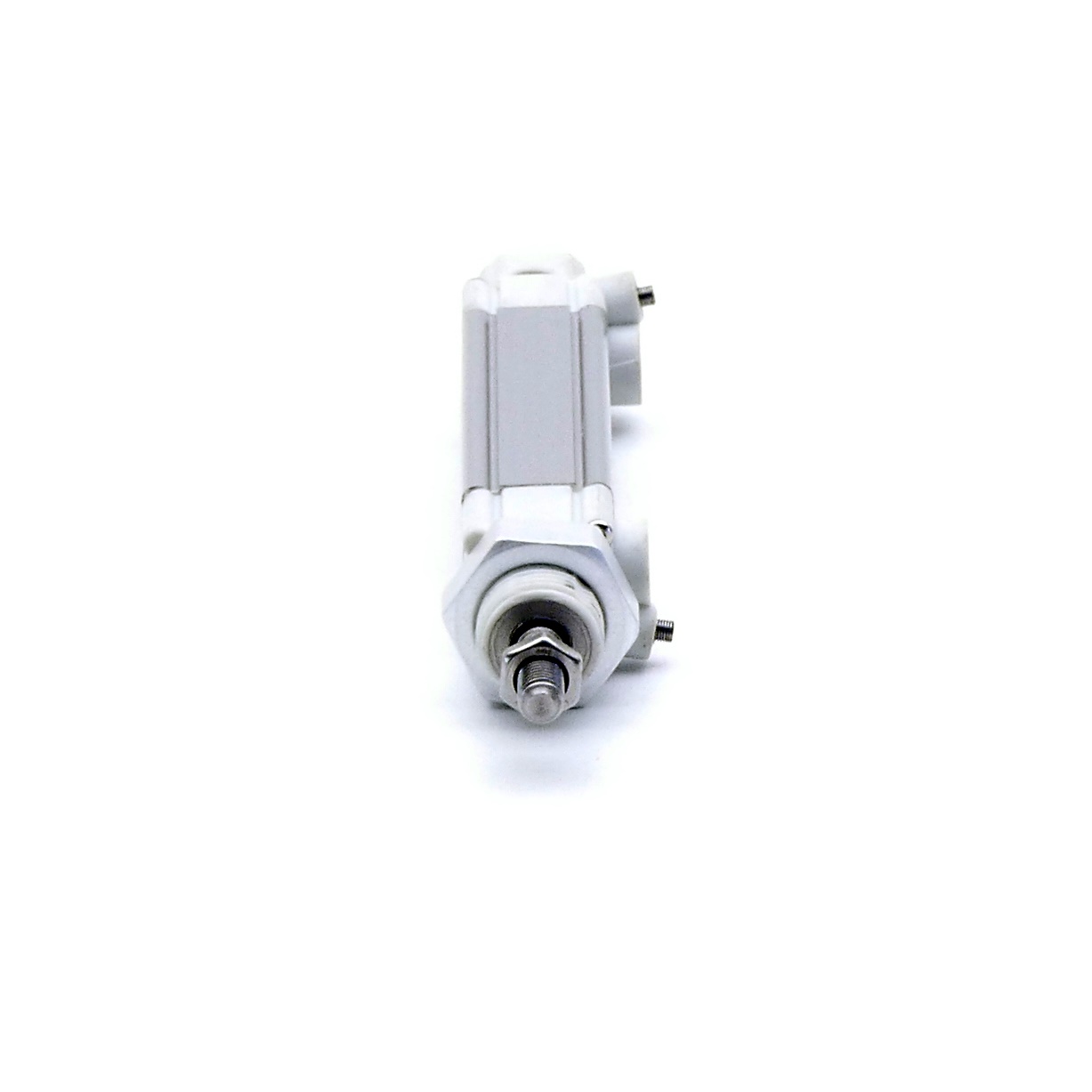 Pneumatic cylinder R480047846
