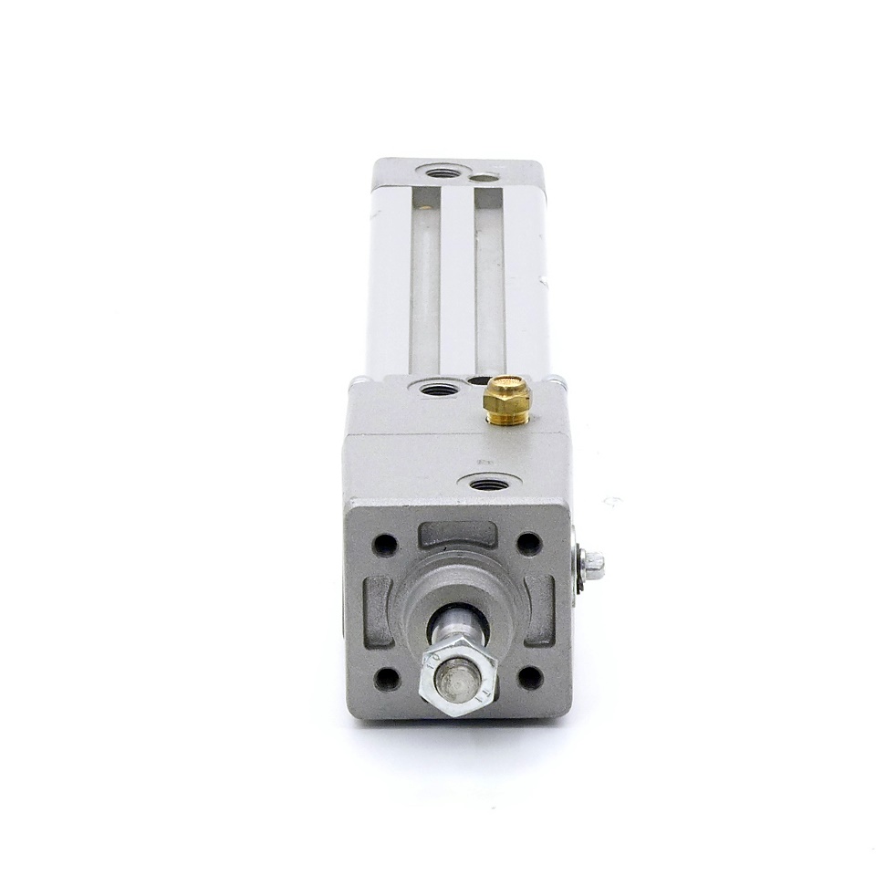 Pneumatic cylinder C95N32D-UA 