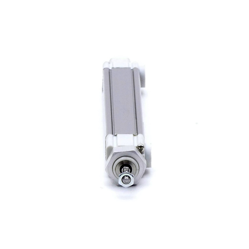 Pneumatic cylinder R480052300 