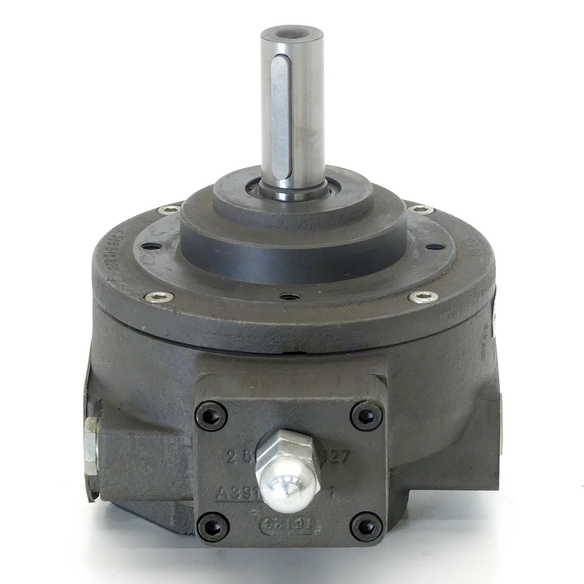 Radialkolbenpumpe 