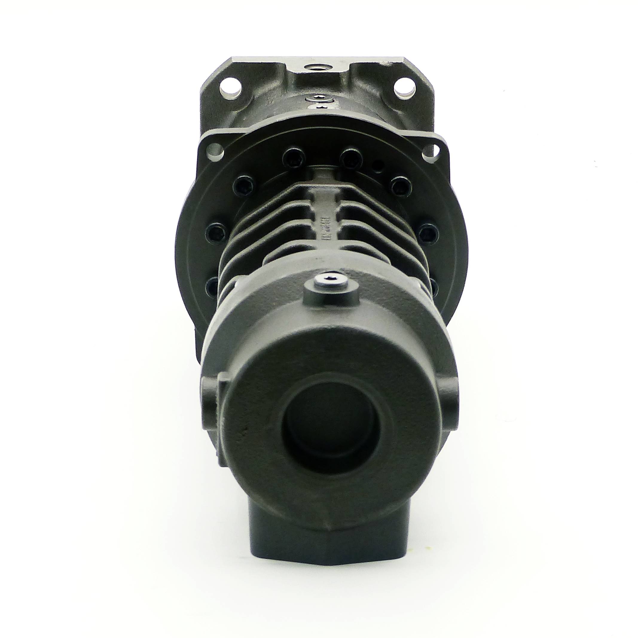 Screw spindle Pump 