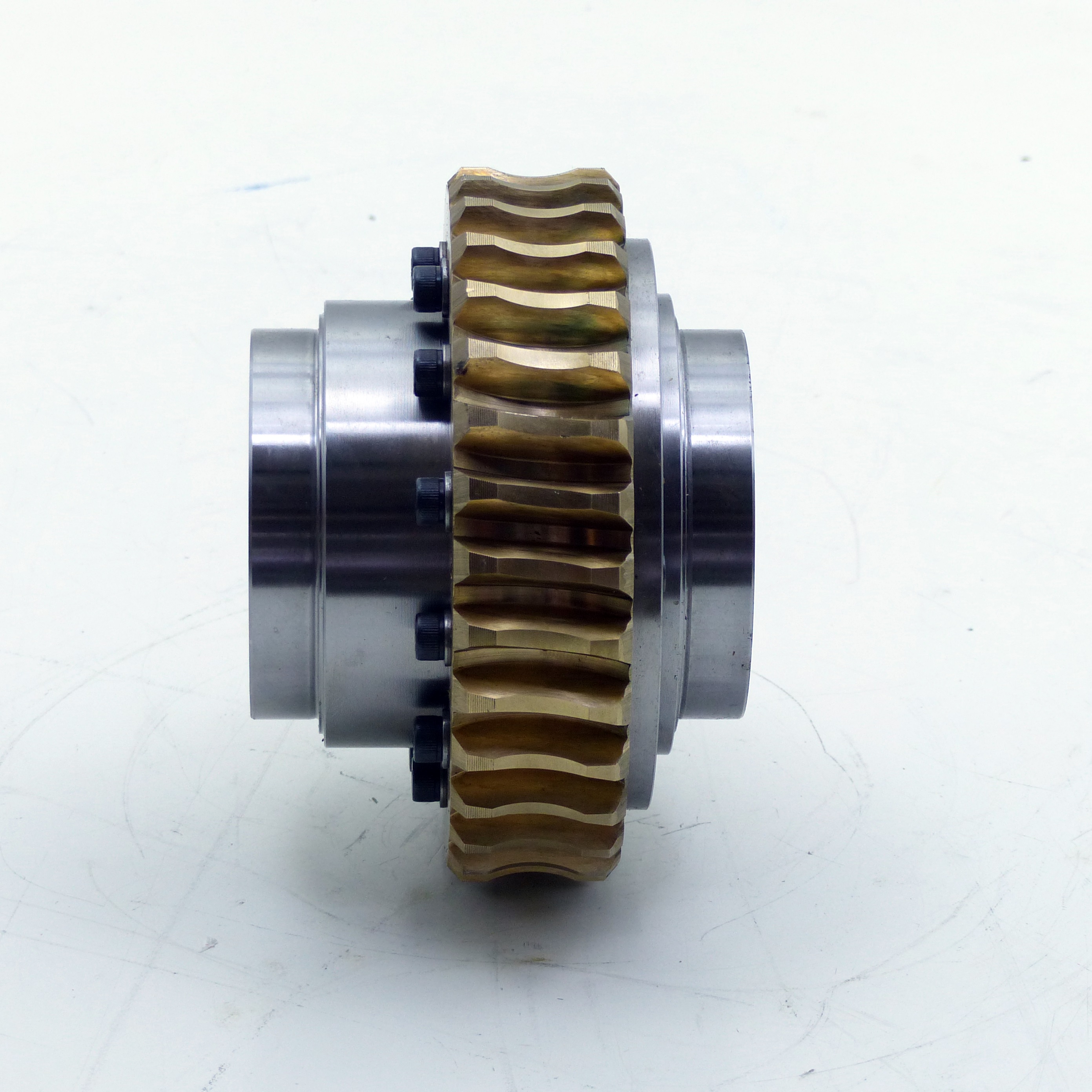 Worm Gear 