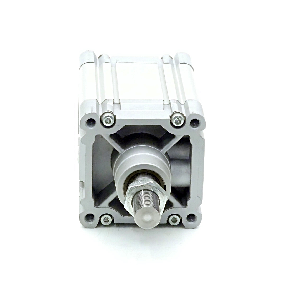 Normzylinder DNC-125-50-PPV-A