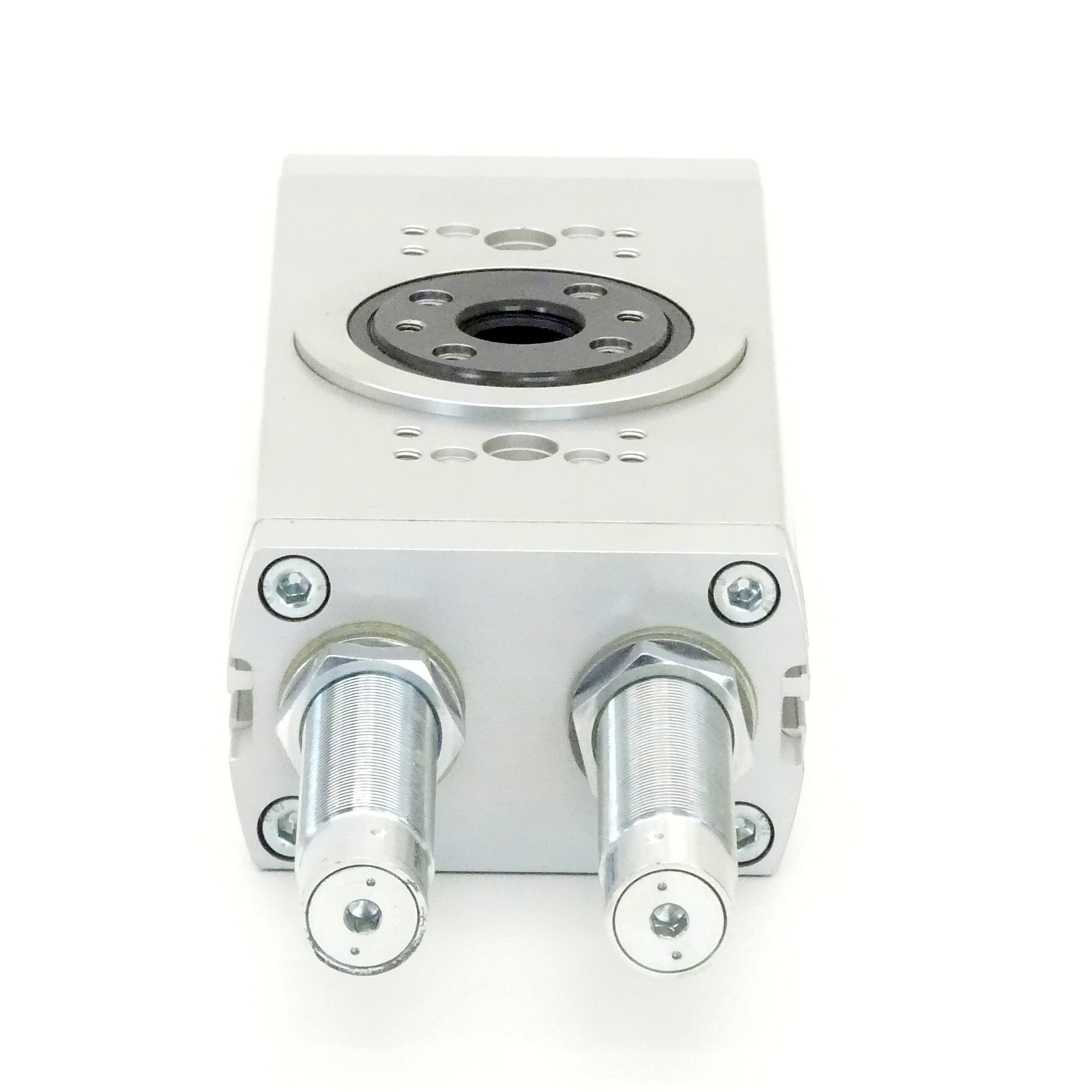 Schwenkantrieb DRRD-40-180-FH-Y9A-E1
