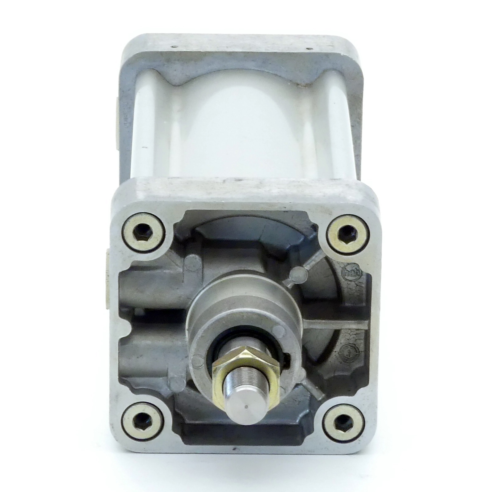 Pneumatic cylinder DNU-100-125-PPV-A