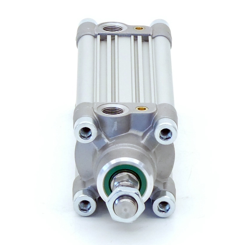 Pneumatic cylinder
