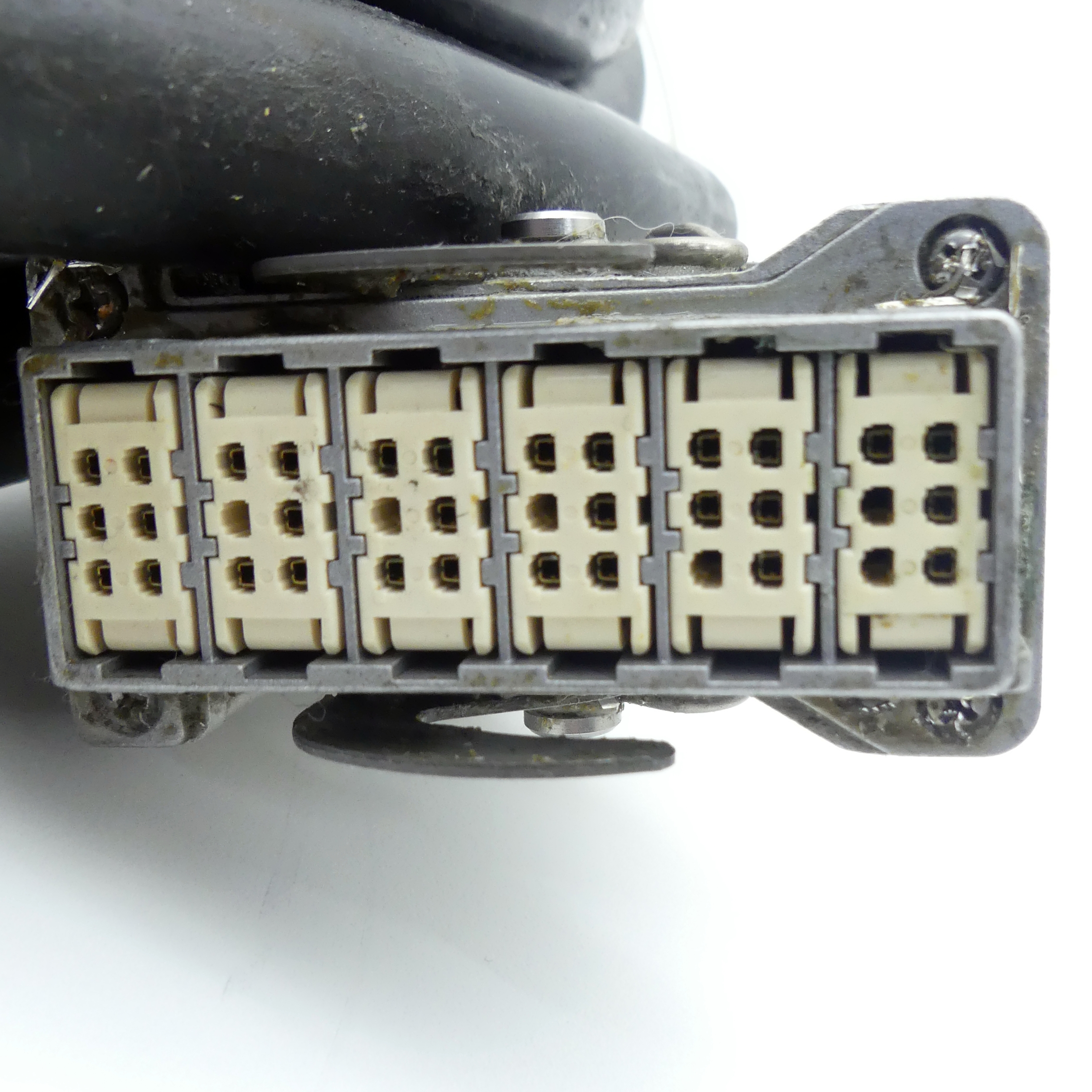 PRIMÄRES STROMKABEL MIT MOLEX-ANSCHLÜSSEN
