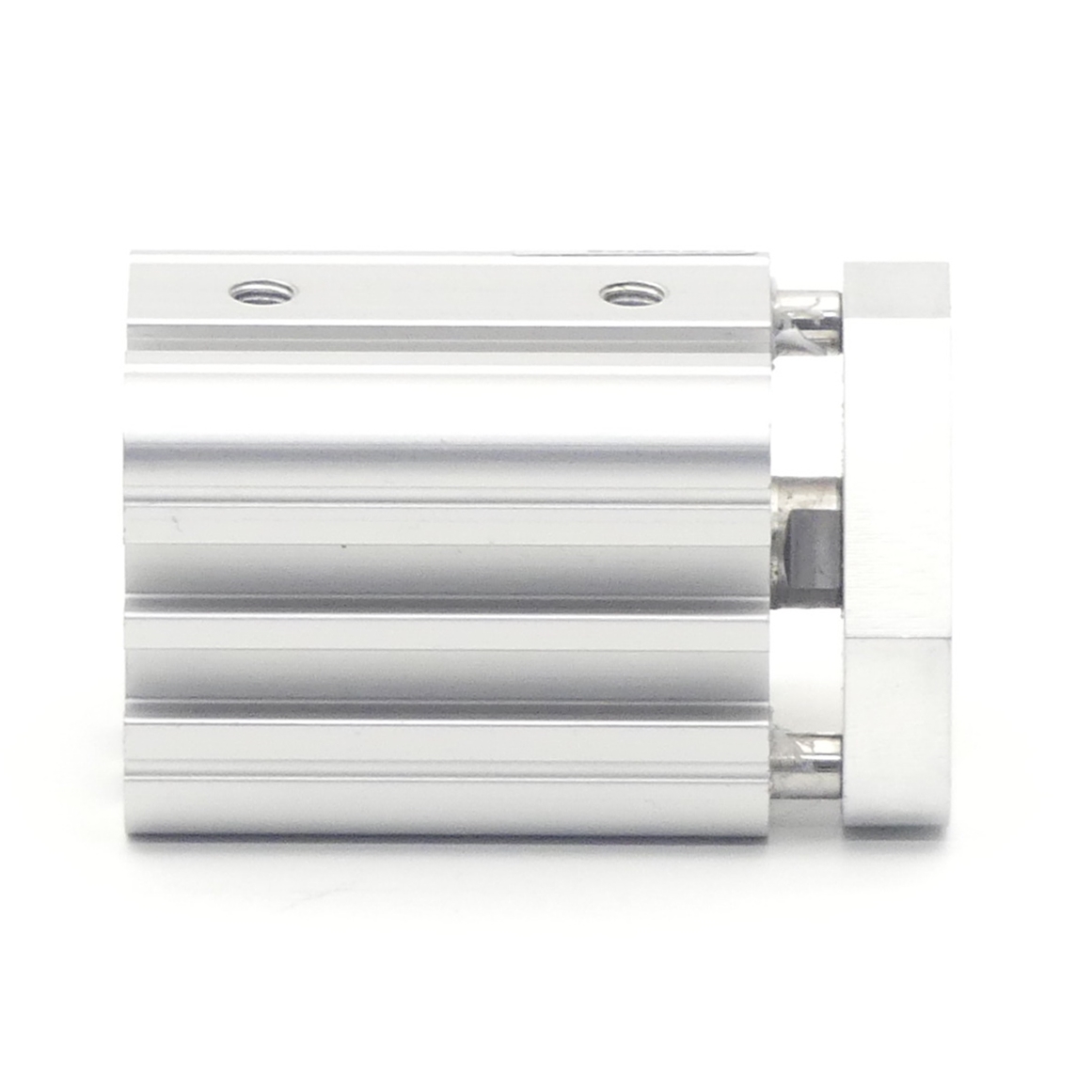 Pneumatic cylinder