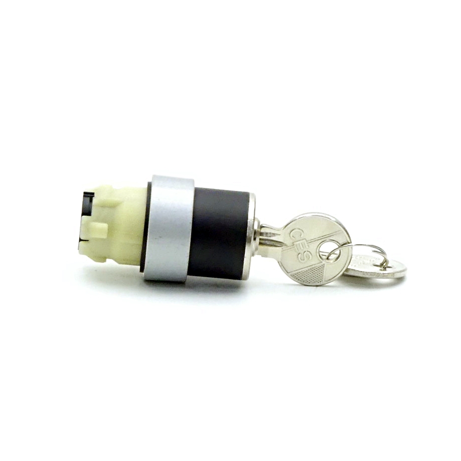 2 Pieces Keyed selector switch CES, SSG10 