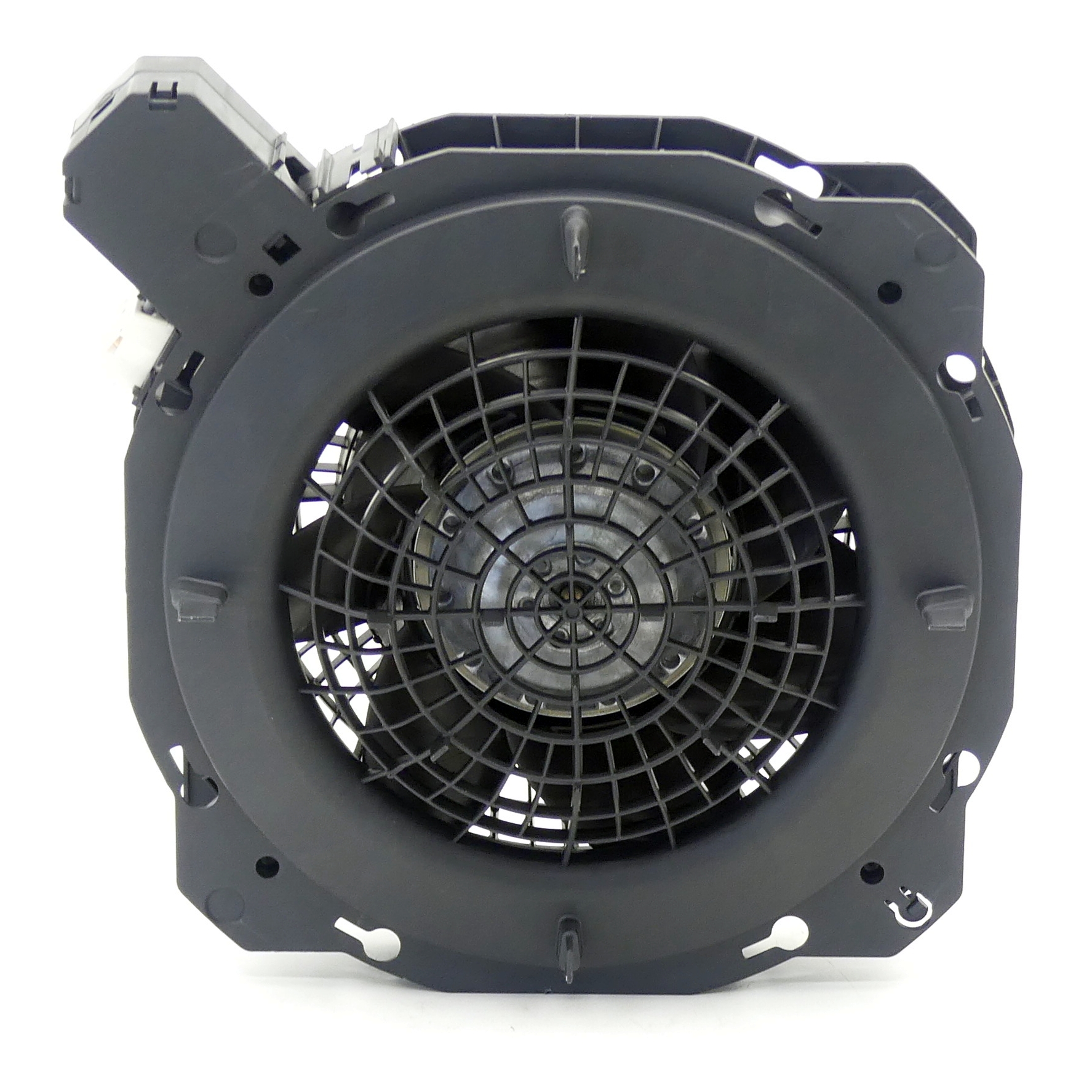 fan 