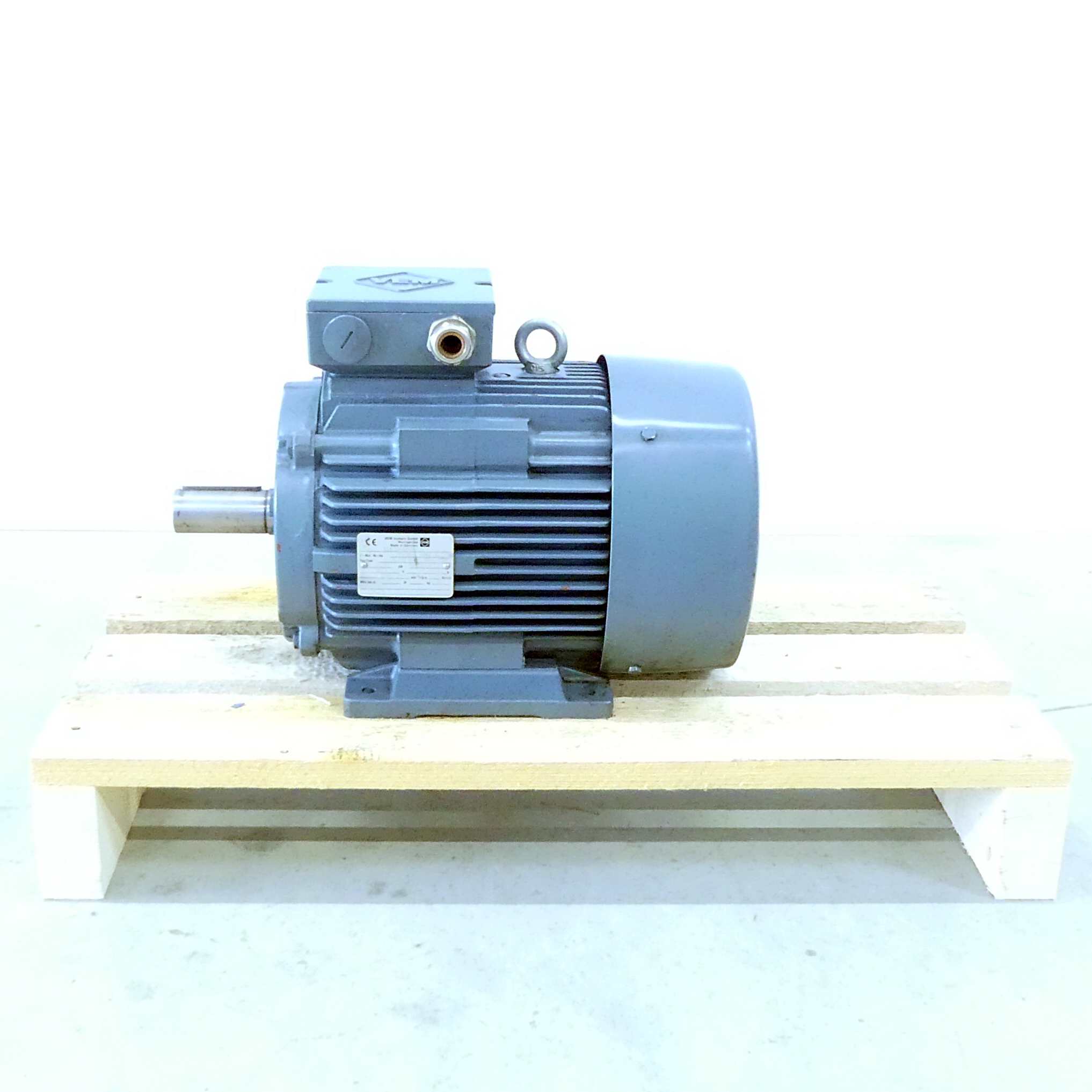 Drehstrommotor DINTEN 60034-1F 