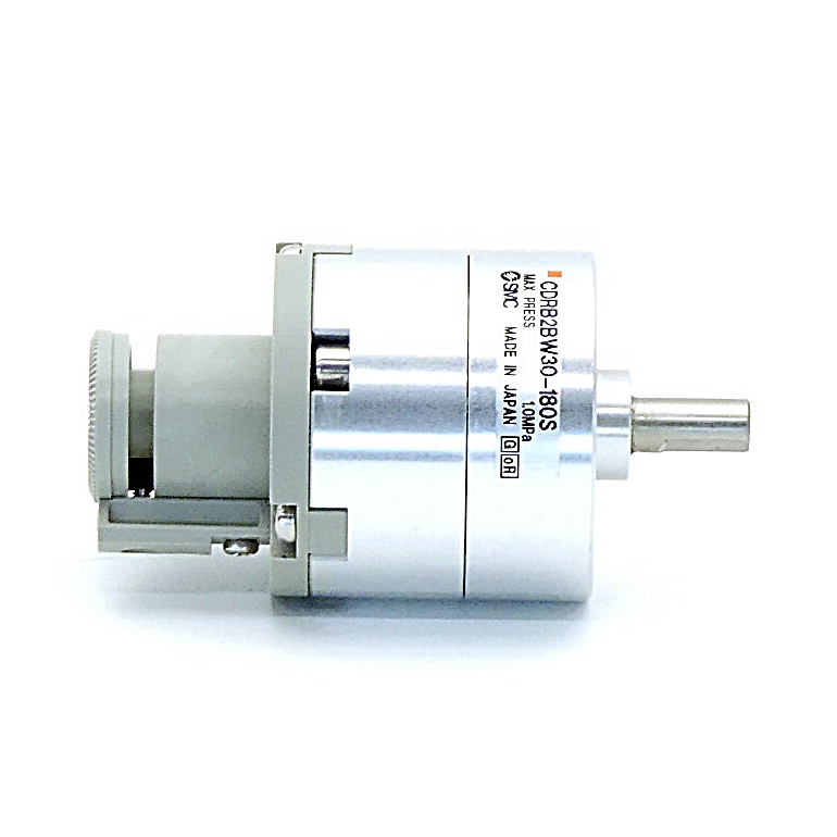 Pneumatic rotary actuator 