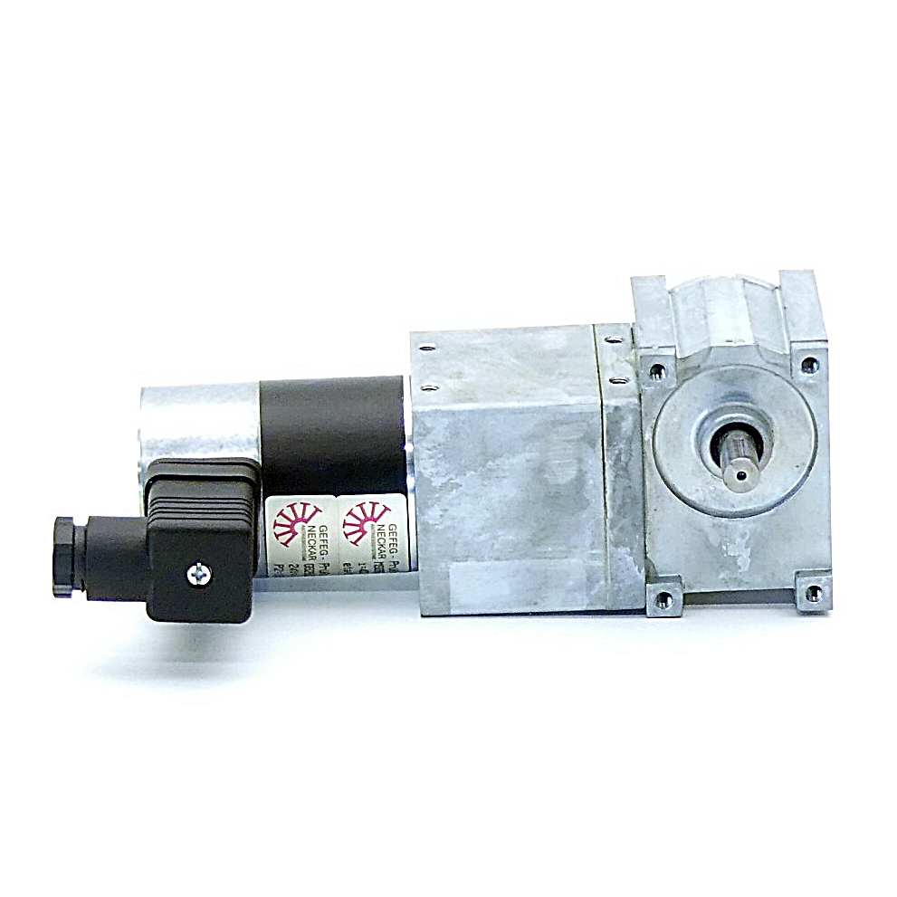 Gear motor 