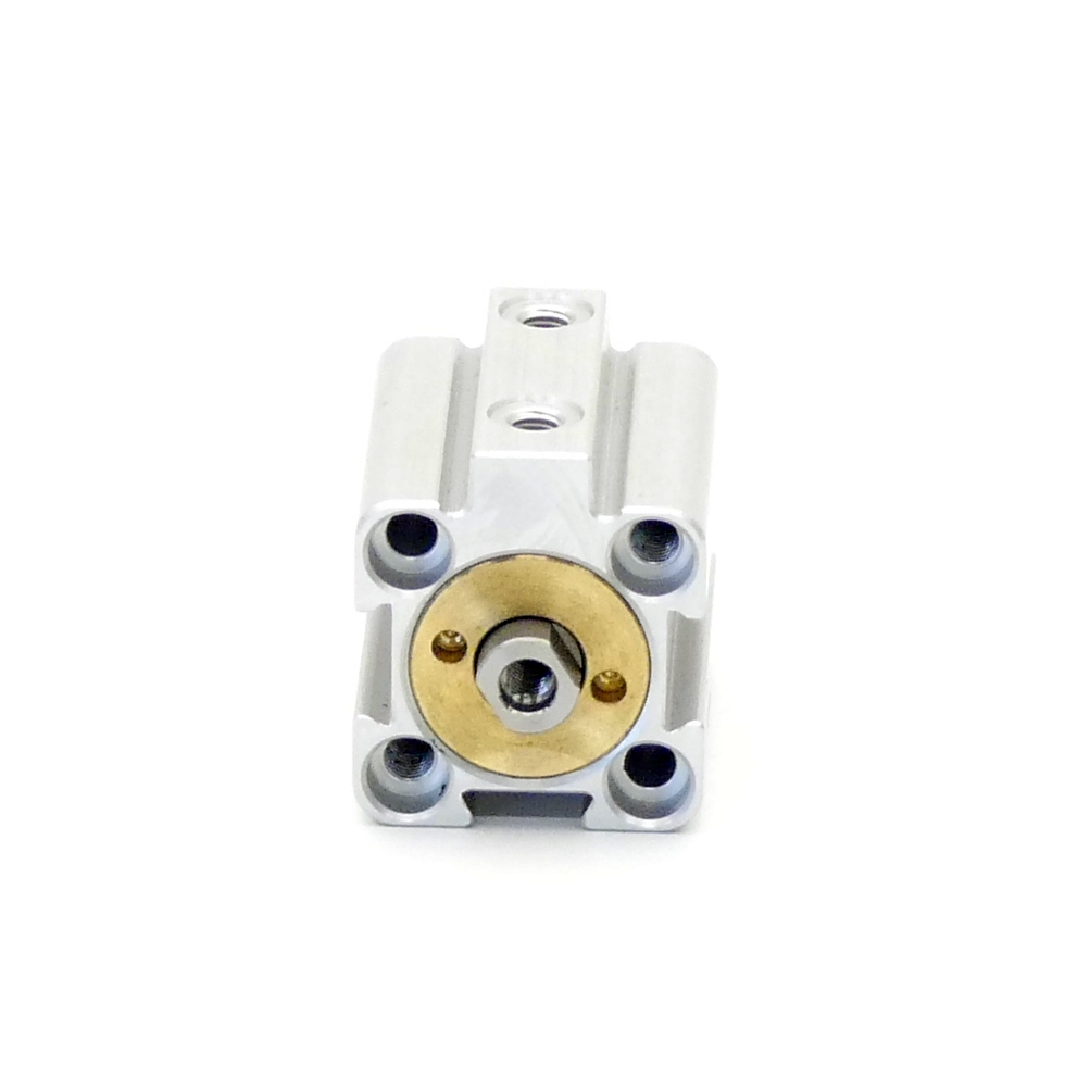 Pneumatic cylinder