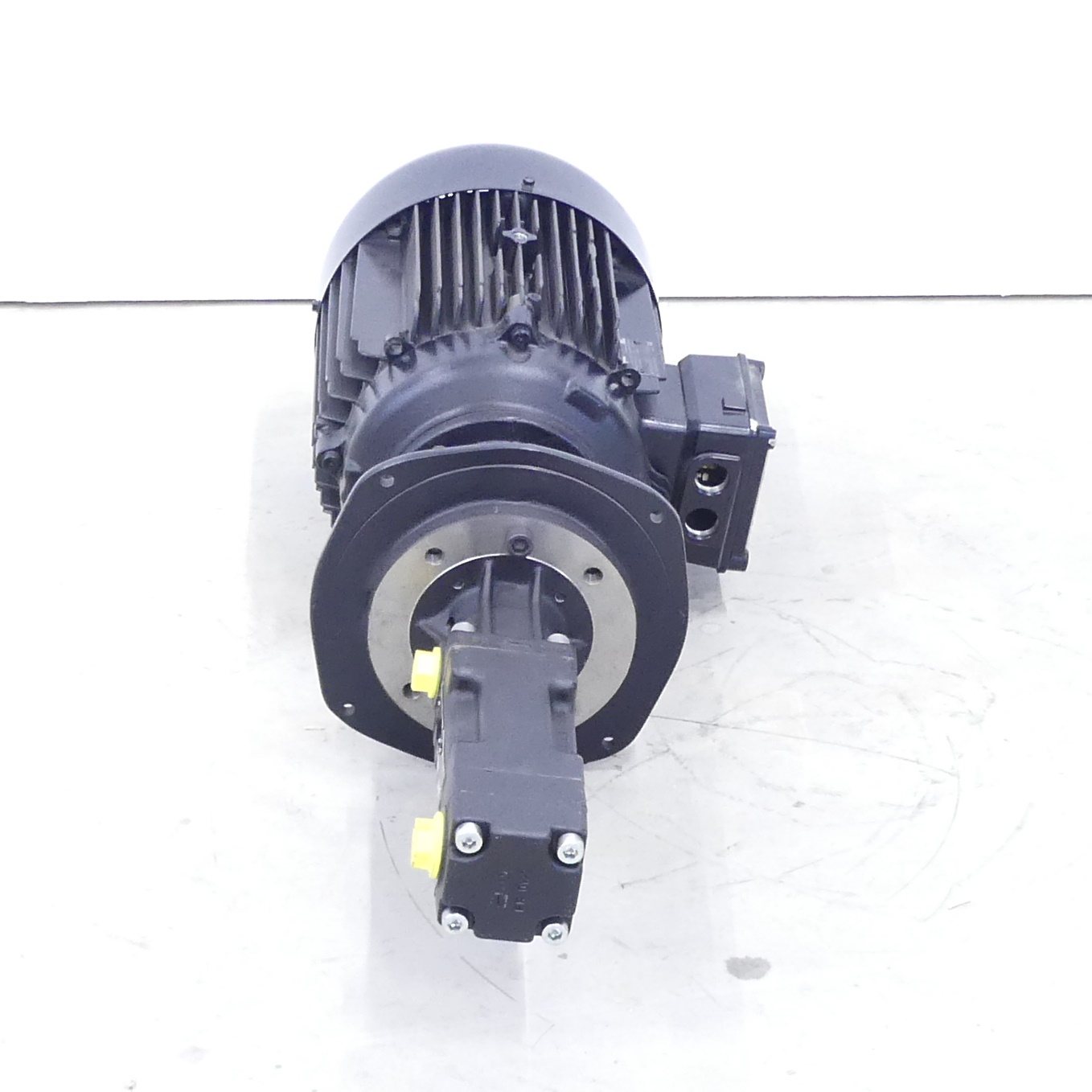 Schraubenspindelpumpe BFS238/80+1110