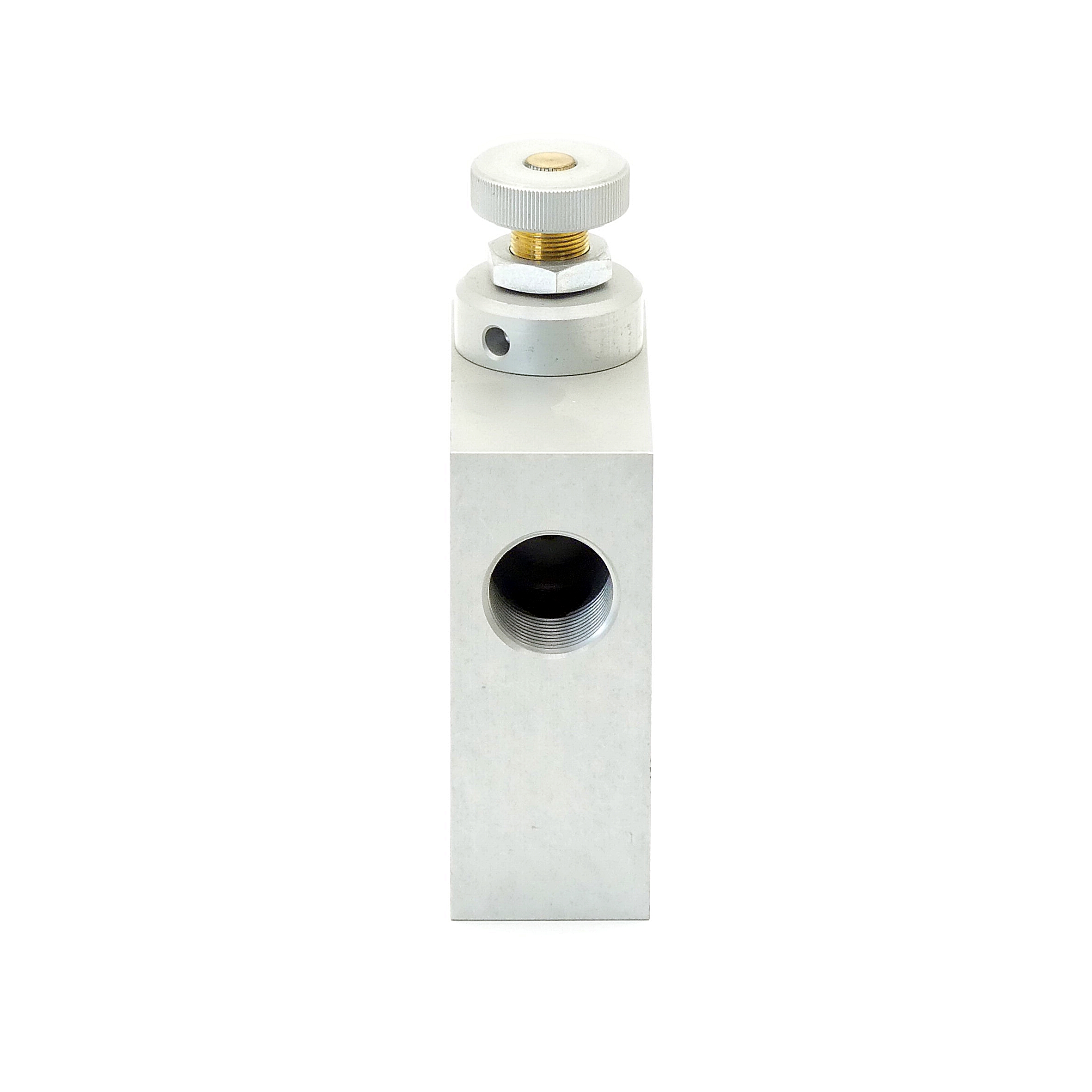 Throttle check valve