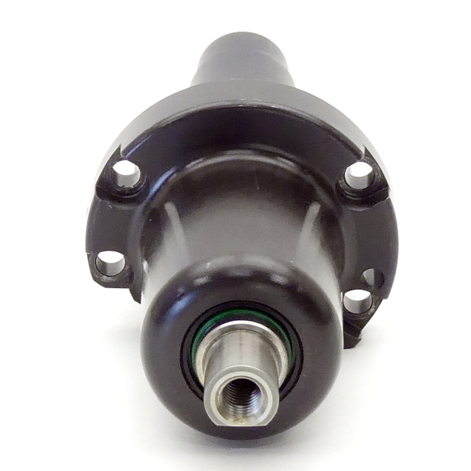 Schwenkspanner