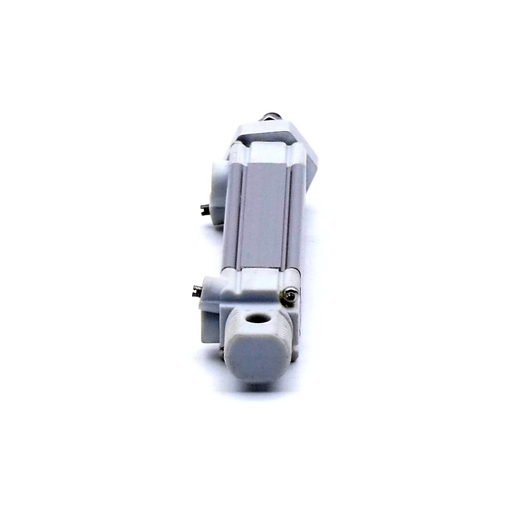 Pneumatic cylinder R480047846