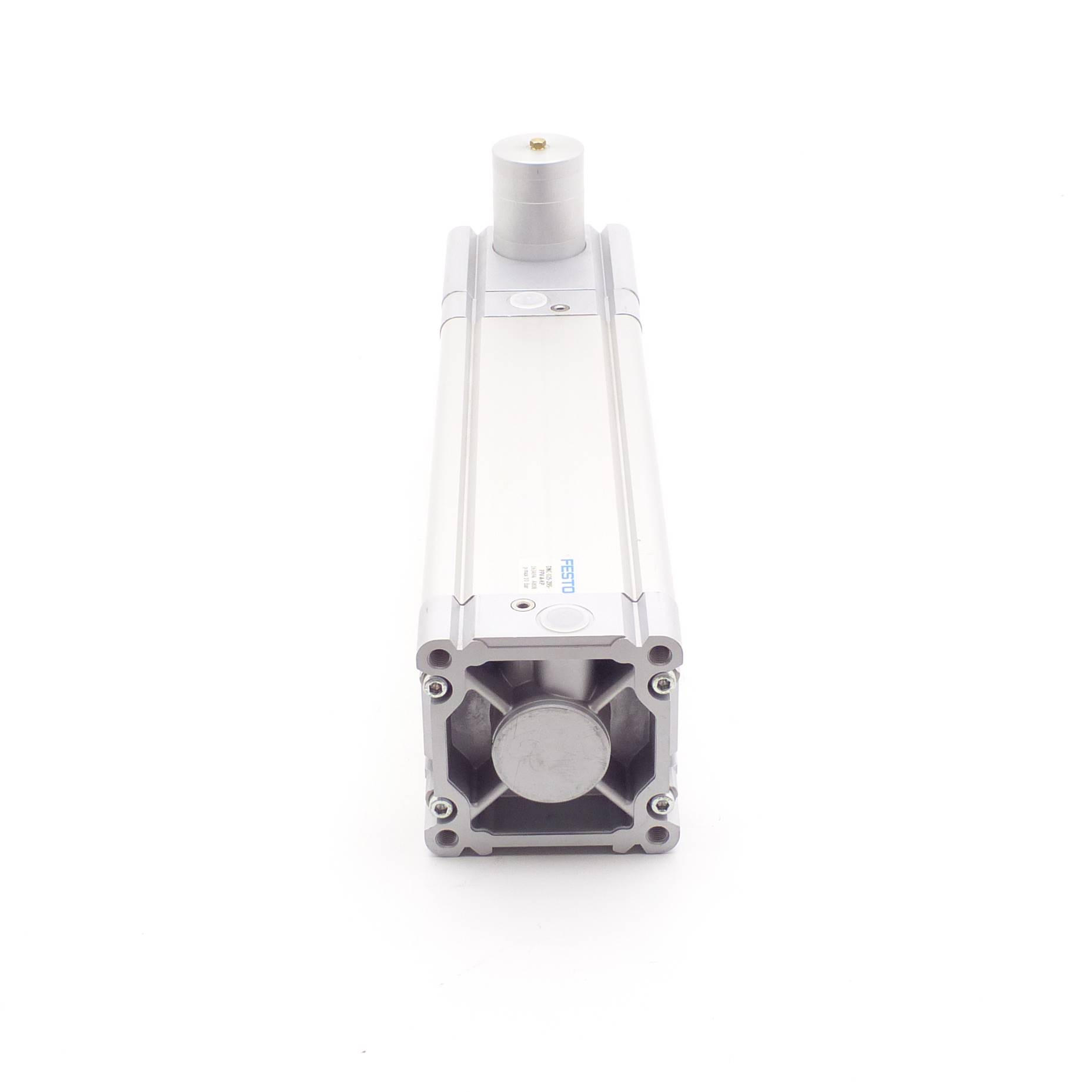 Standard Cylinder DNC-125-295-PPV-A-KP