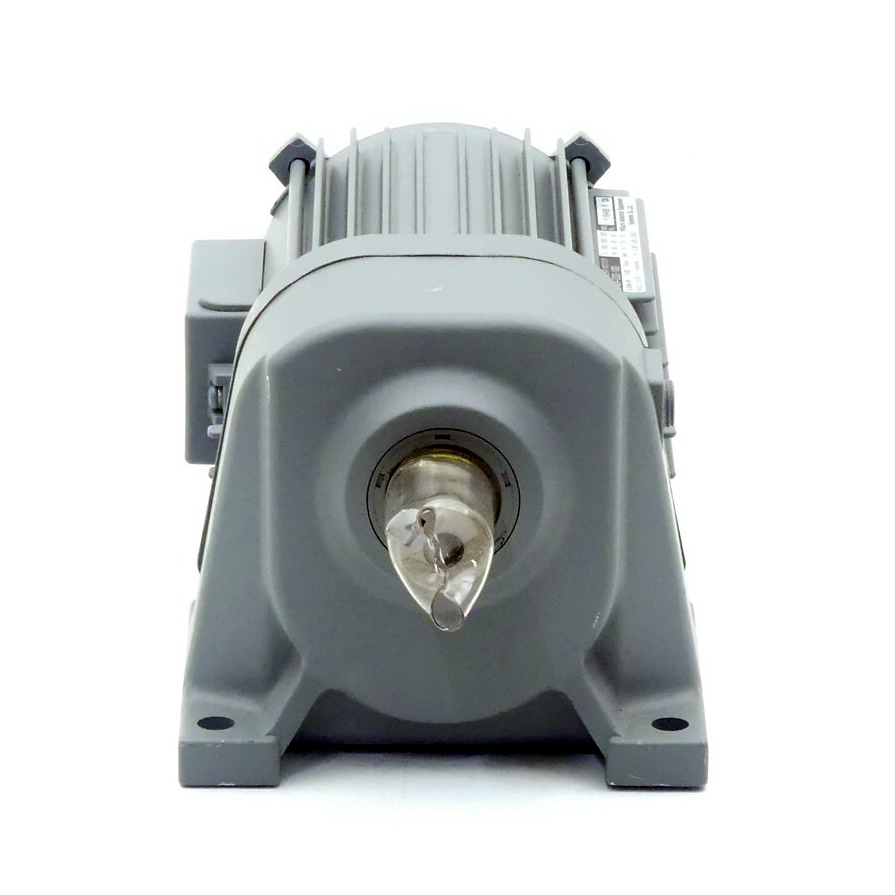 3 Phase Gear Motor 