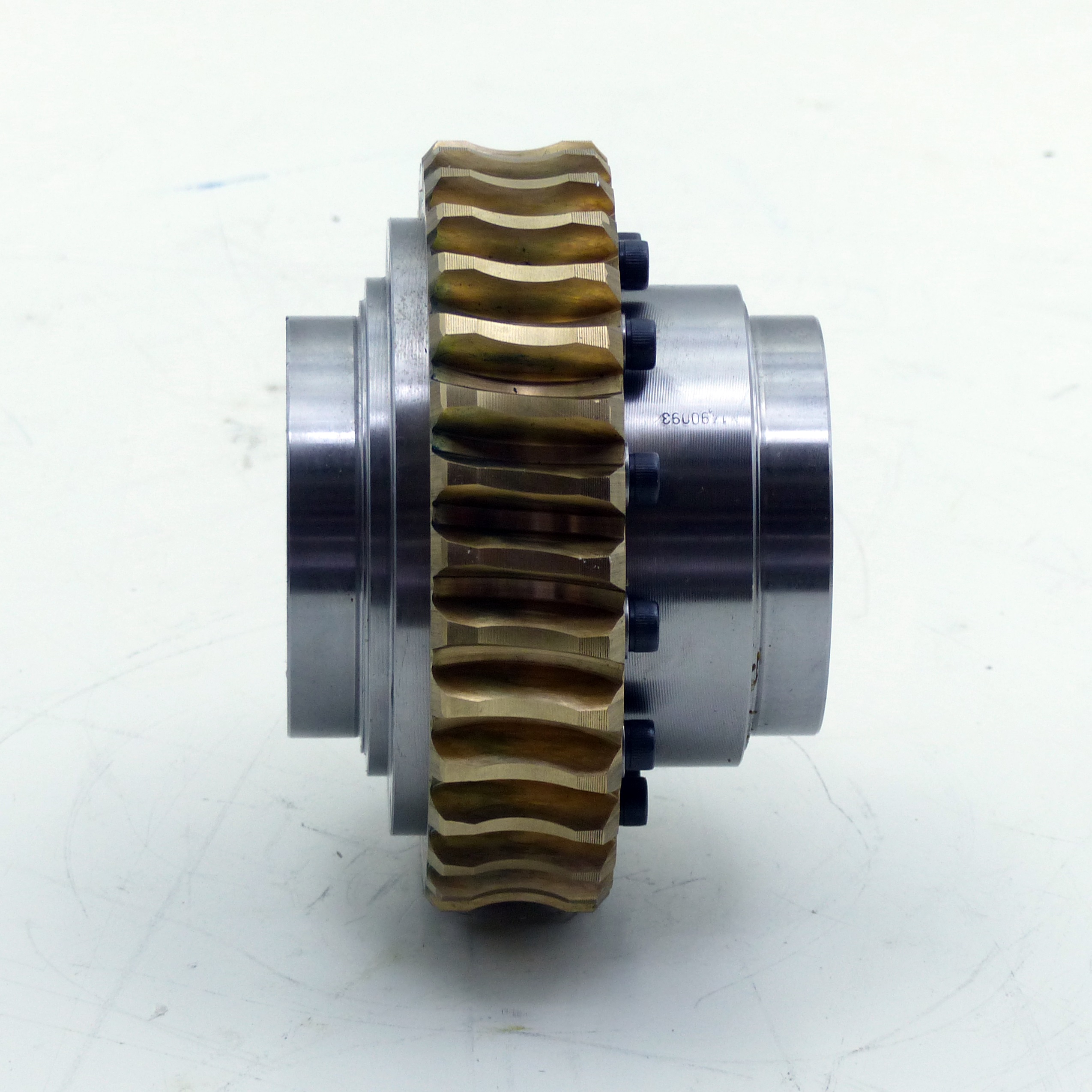 Worm Gear 