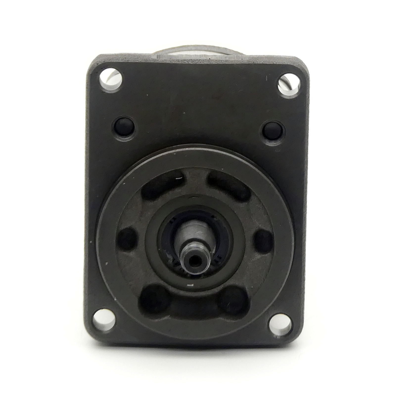 Hydraulik-Zahnradpumpe 