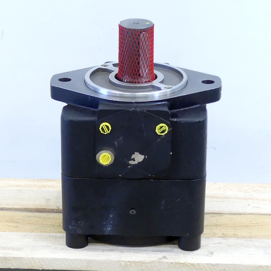 Hydraulic pump QT81-315R 