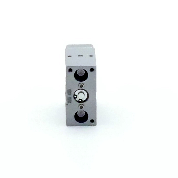 Führungszylinder DFM-2-10-P-A-KF