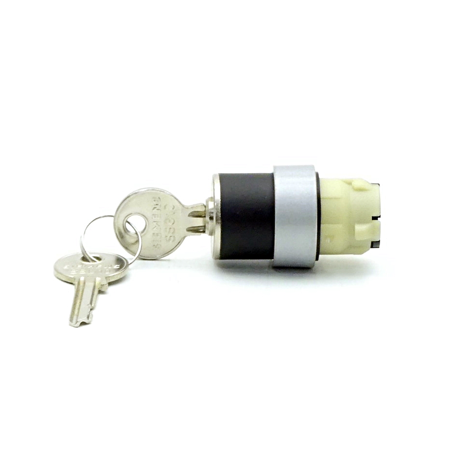 2 Pieces Keyed selector switch CES, SSG10 